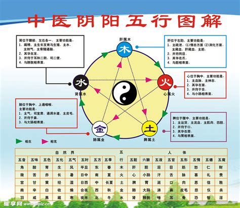 五行属性|五行的阴阳属性对应表